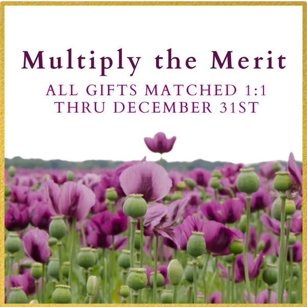 Multiply the Merit - Donations