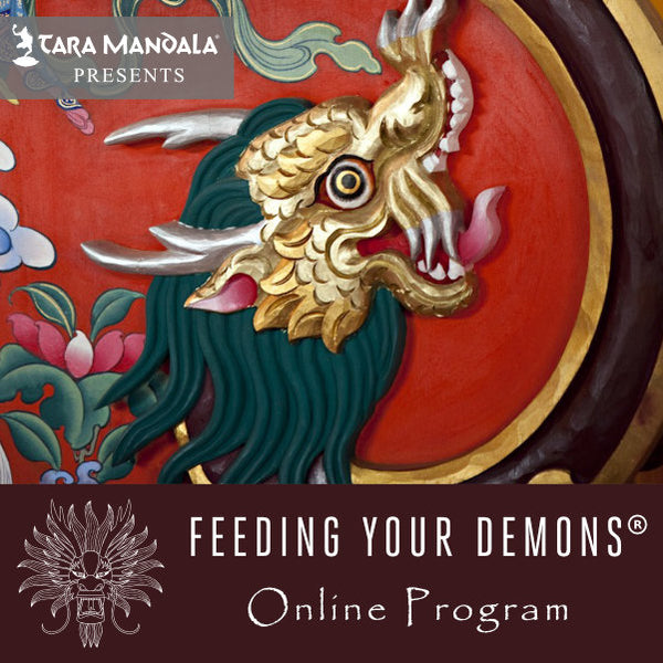 Demon Program Application for the Feeding Your Demons Certification Program - Tara ...