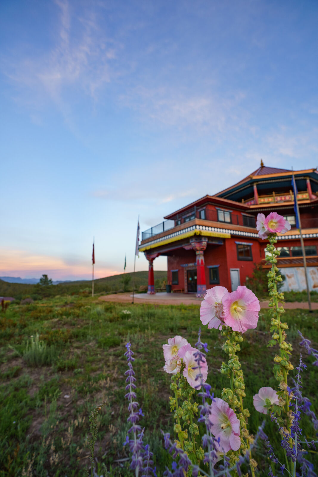 Planting a Gift That Grows