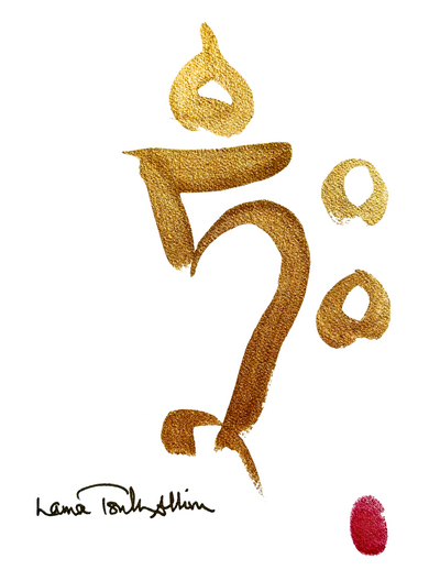 Planting a Gift That Grows