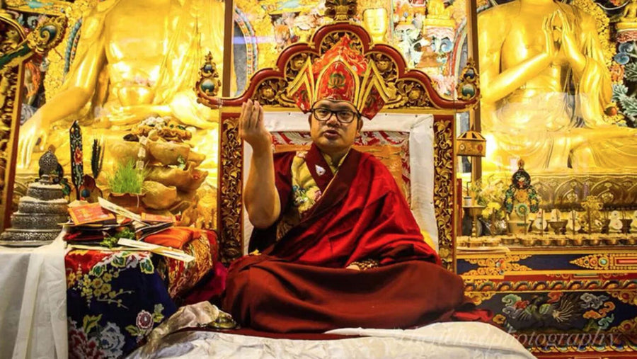 Dana for Adzom Gyalse Rinpoche