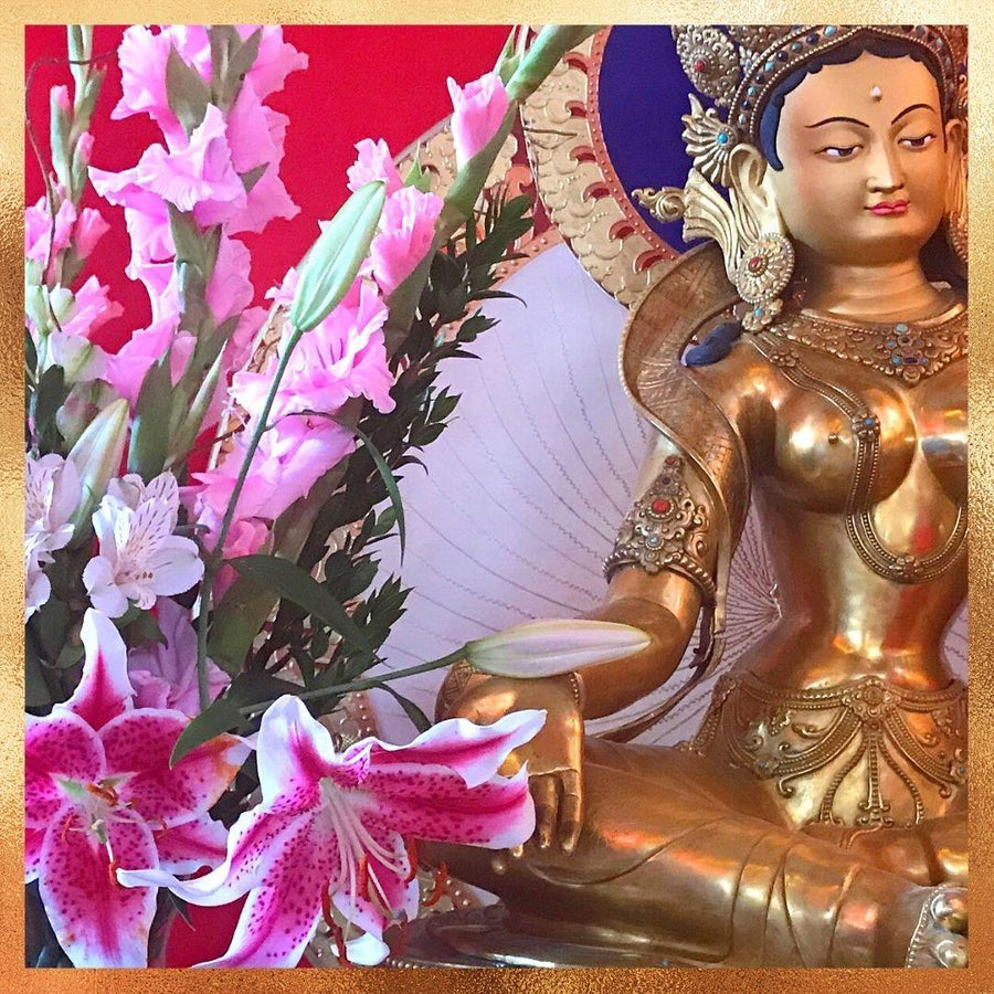 Tara Flower Sponsorship